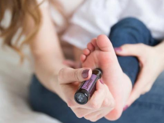 ¡doTERRA para todo y para todos!