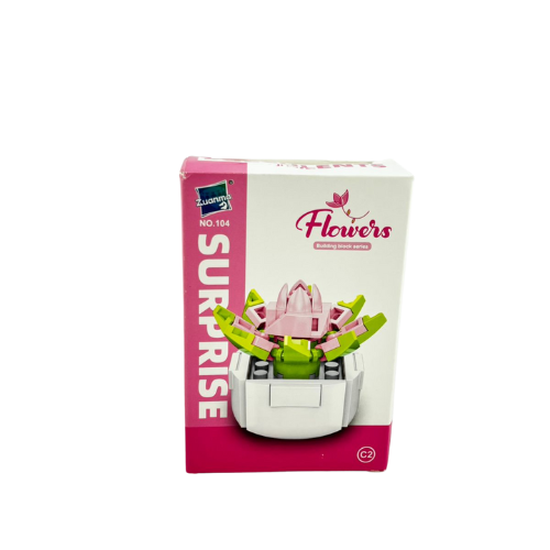 Piezas de construcción variado - Suculentas