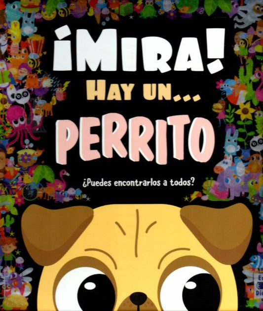 Mira hay un perrito