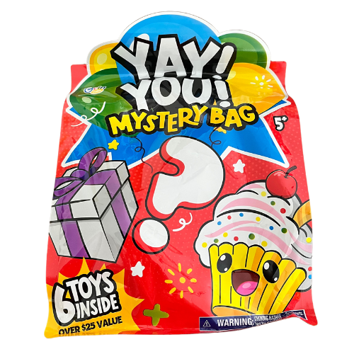 Mystery fidgets bag