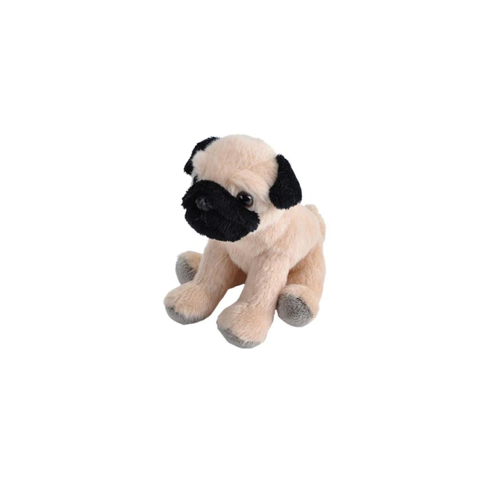 Pocketkins Pug